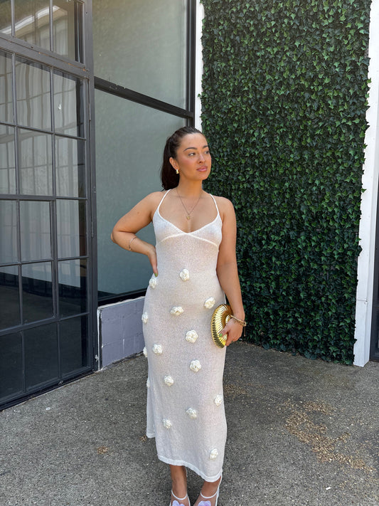 Dolce Vida Crochet Dress